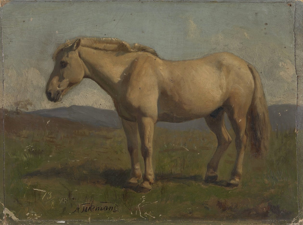 Un caballo pardo de Adolph Tidemand