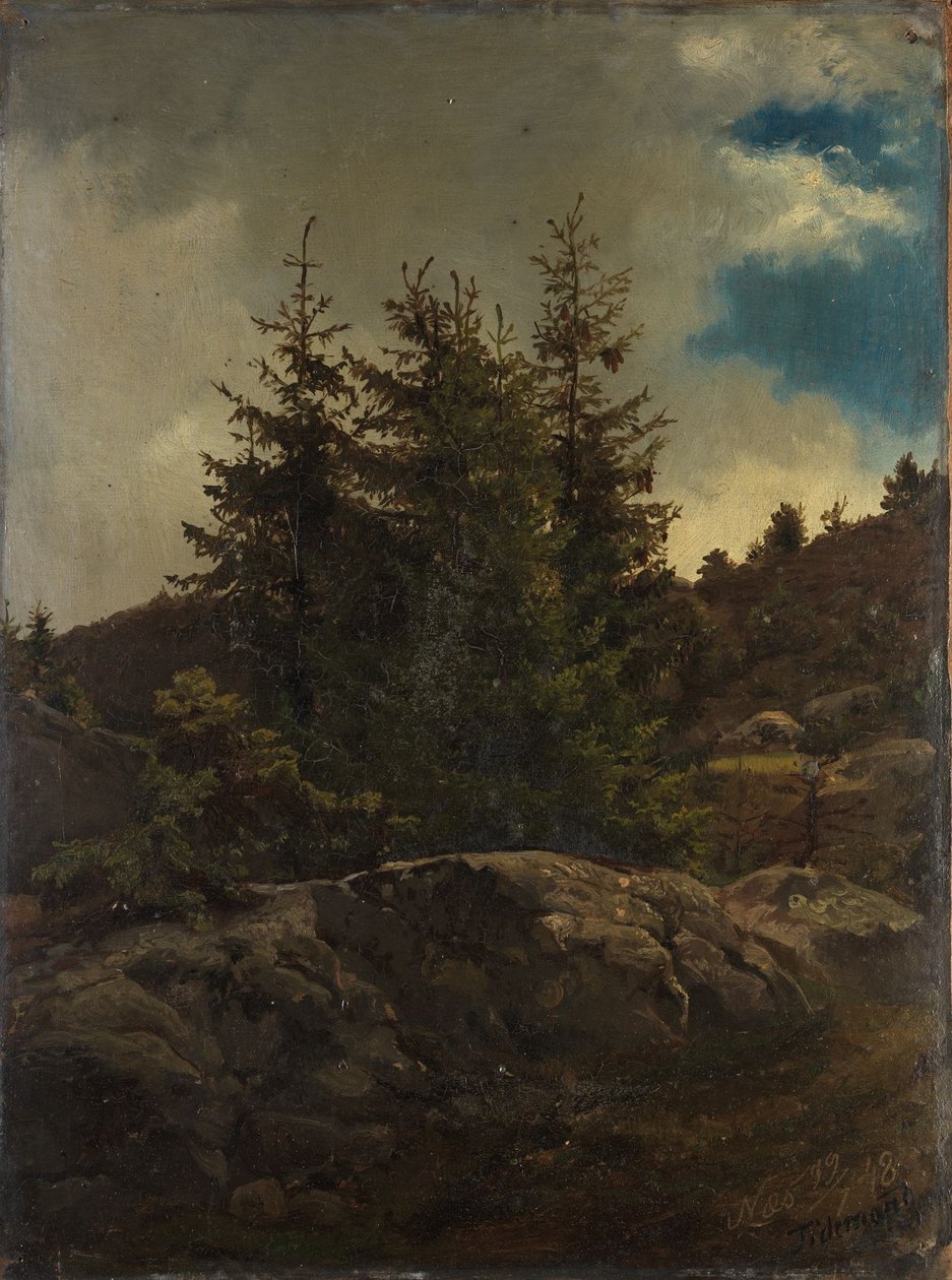 Paisaje de Nes en Hallingdal de Adolph Tidemand