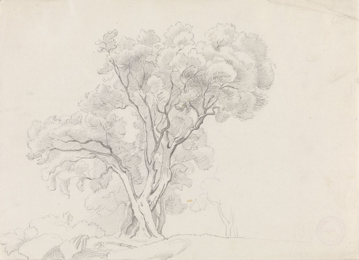 Árboles de hoja caduca de Adolph Tidemand