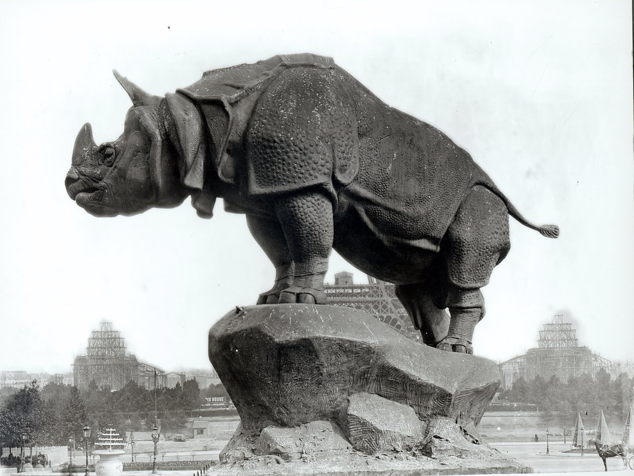 Rinoceronte, 1878, por Alfred Jacquemart frente al Palacio del Trocadero, construido para la Exposición Universal (1878), París, 1888 de Adolphe Giraudon