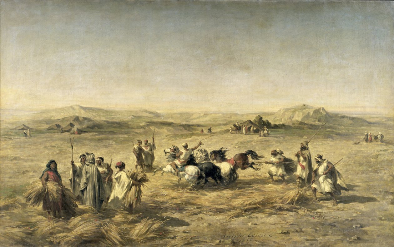 Trillando trigo en Argelia, 1853 de Adolphe Pierre Leleux