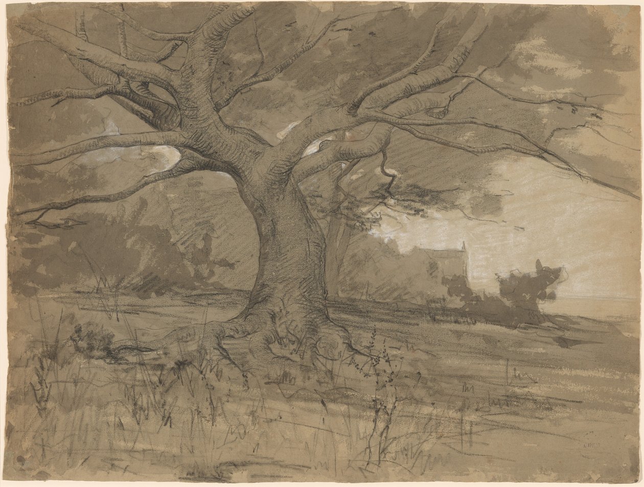 Un gran haya en el borde de un bosque de Adolphe Appian