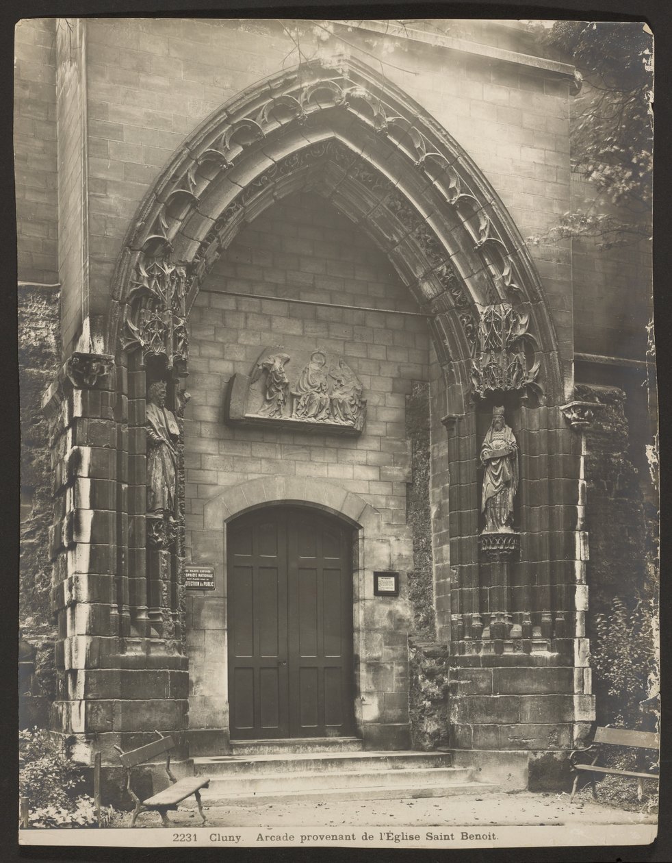 Cluney de Adolphe Braun
