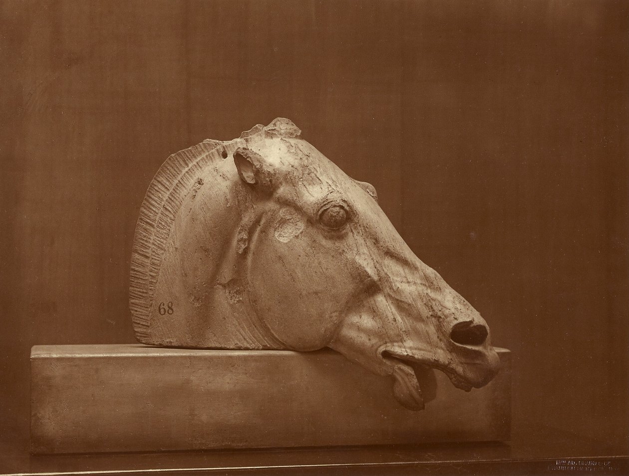 [Cabeza de caballo del frontón del Partenón, Museo Británico] de Adolphe Braun