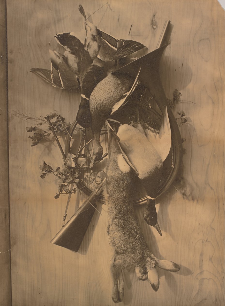 [Naturaleza muerta: Caza muerta] de Adolphe Braun