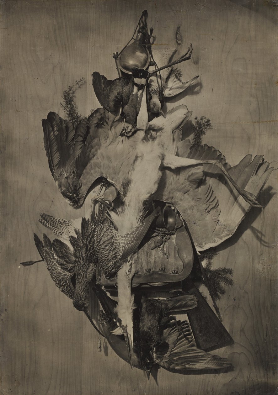 [Naturaleza muerta con caza] de Adolphe Braun