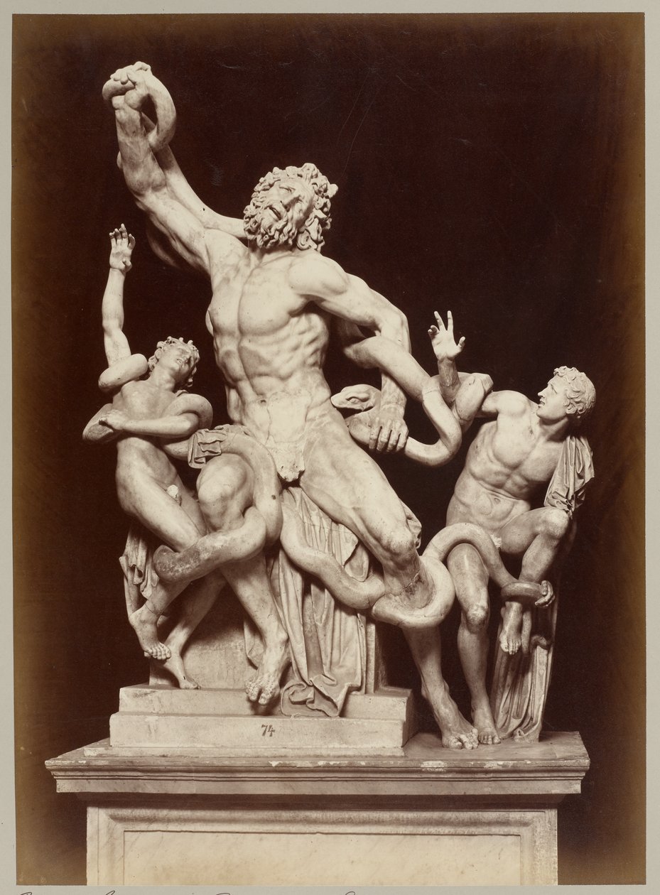 El Laocoonte en los Museos Vaticanos de Adolphe Braun