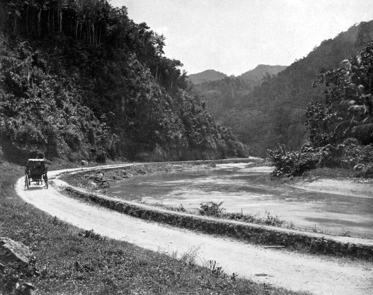 Camino a Bog Walk, Jamaica, c. 1905 de Adolphe Duperly and Son