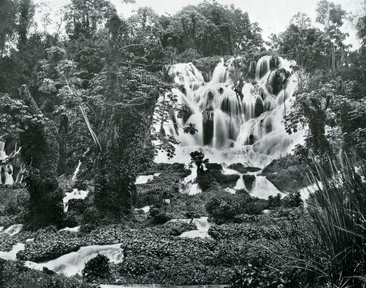 Cataratas del Río Rugiente, Jamaica, c1905 de Adolphe Duperly and Son