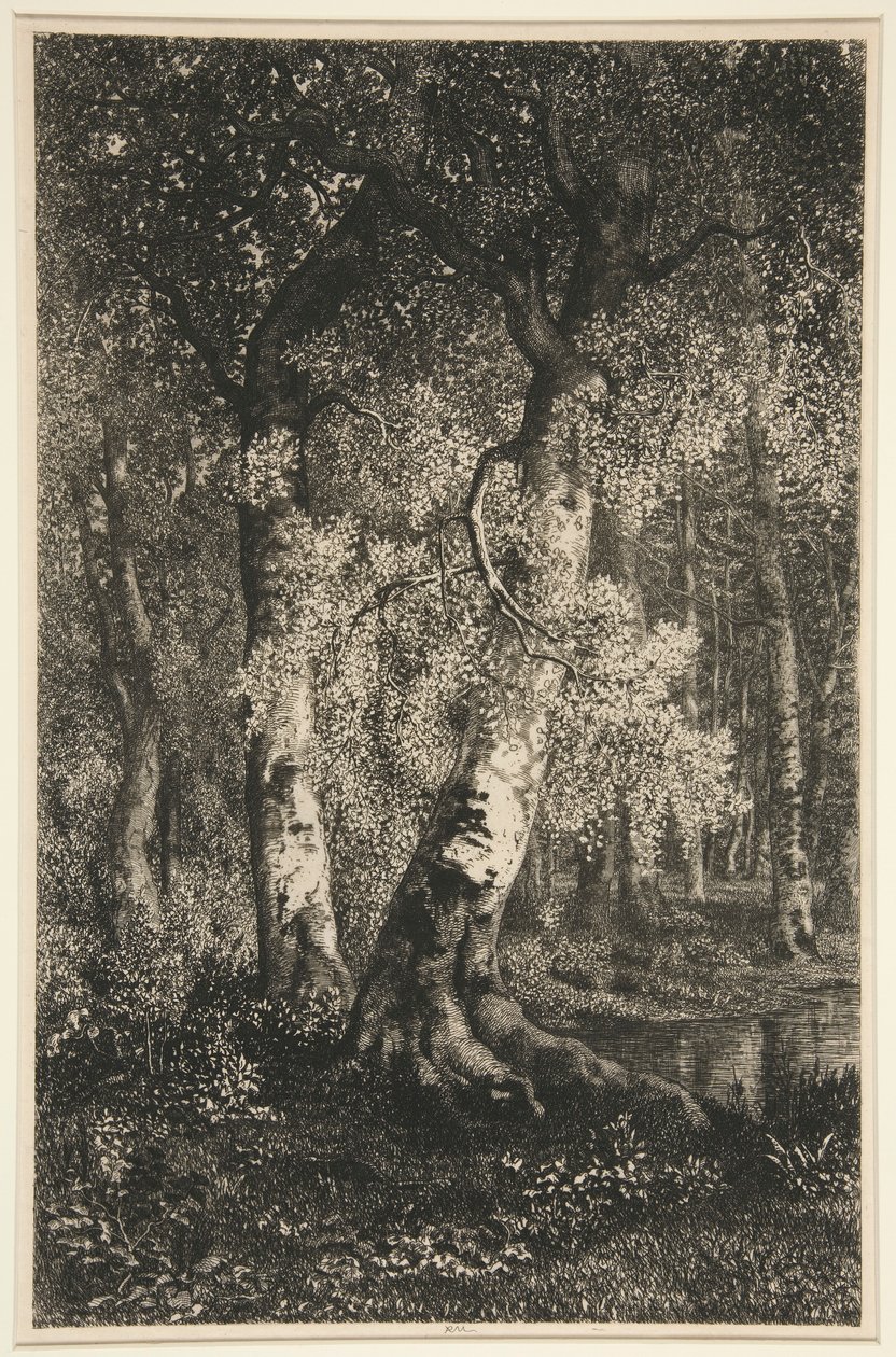 Las hayas de Adolphe Martial Potemont