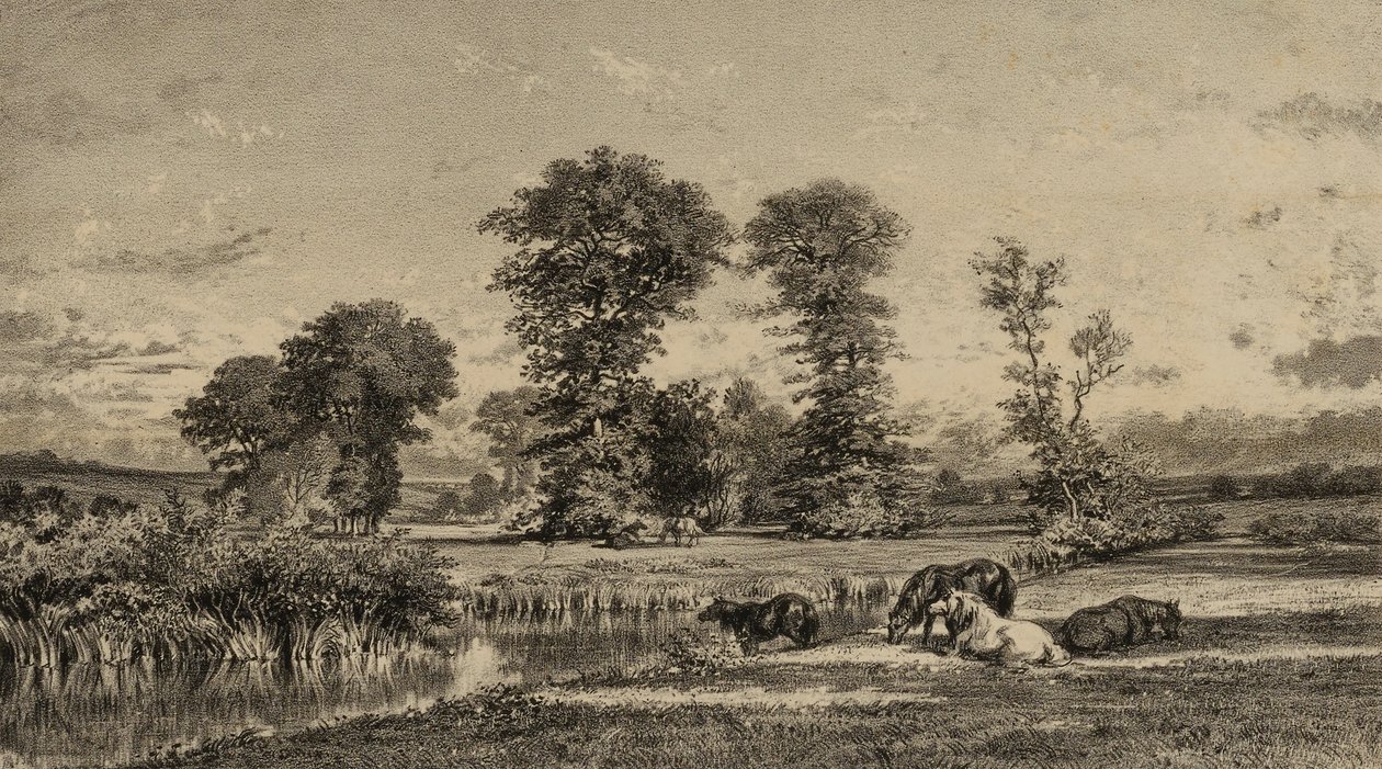 Caballos pastando de Adolphe Mouilleron