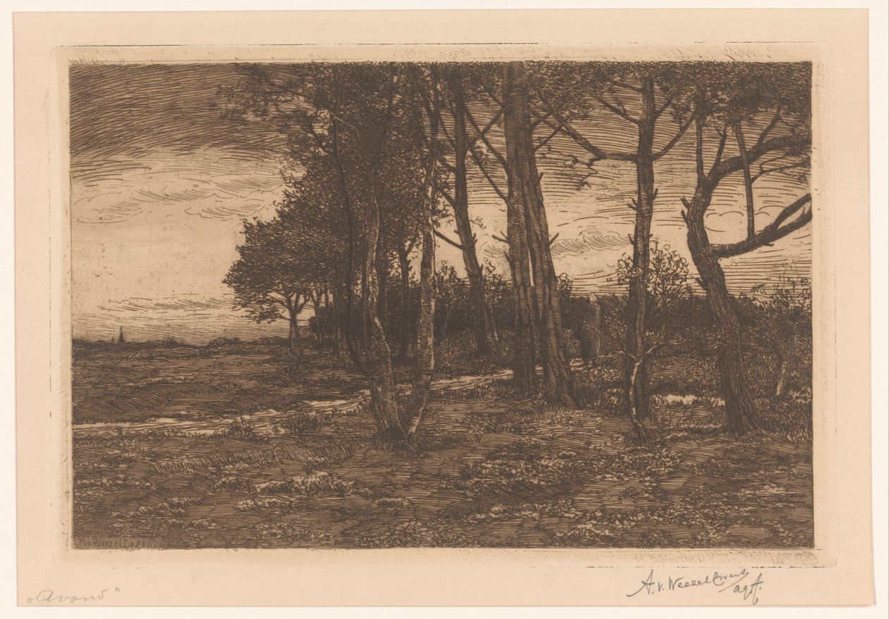 Paisaje con árboles
Noche (título en el objeto) de Adolphe P.H J. van Weezel Errens (signed by artist)