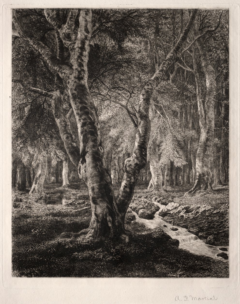 Bosque de Pierrefonds de Adolphe Théodore Jules Martial Potémont
