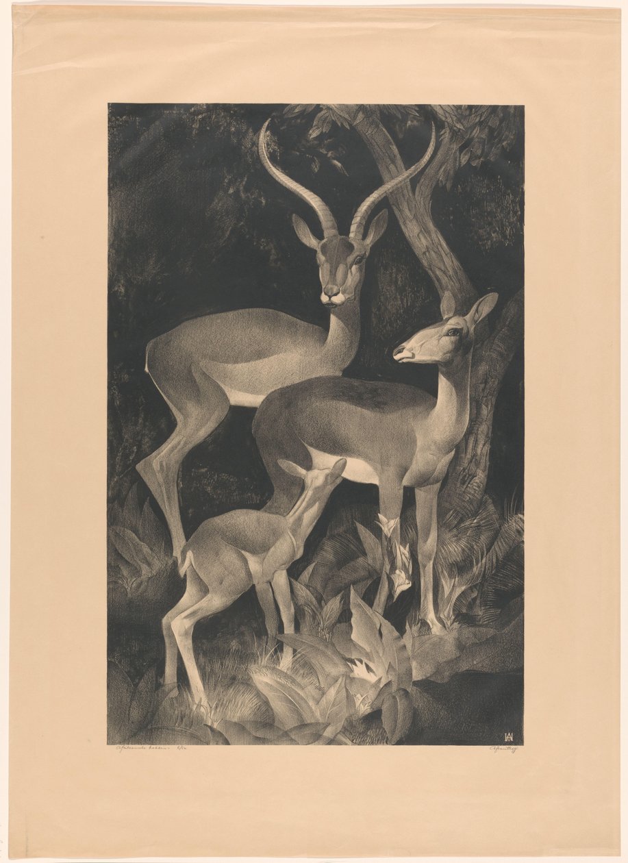 Gamos africanos (título original del objeto) de Adriaan J. van 