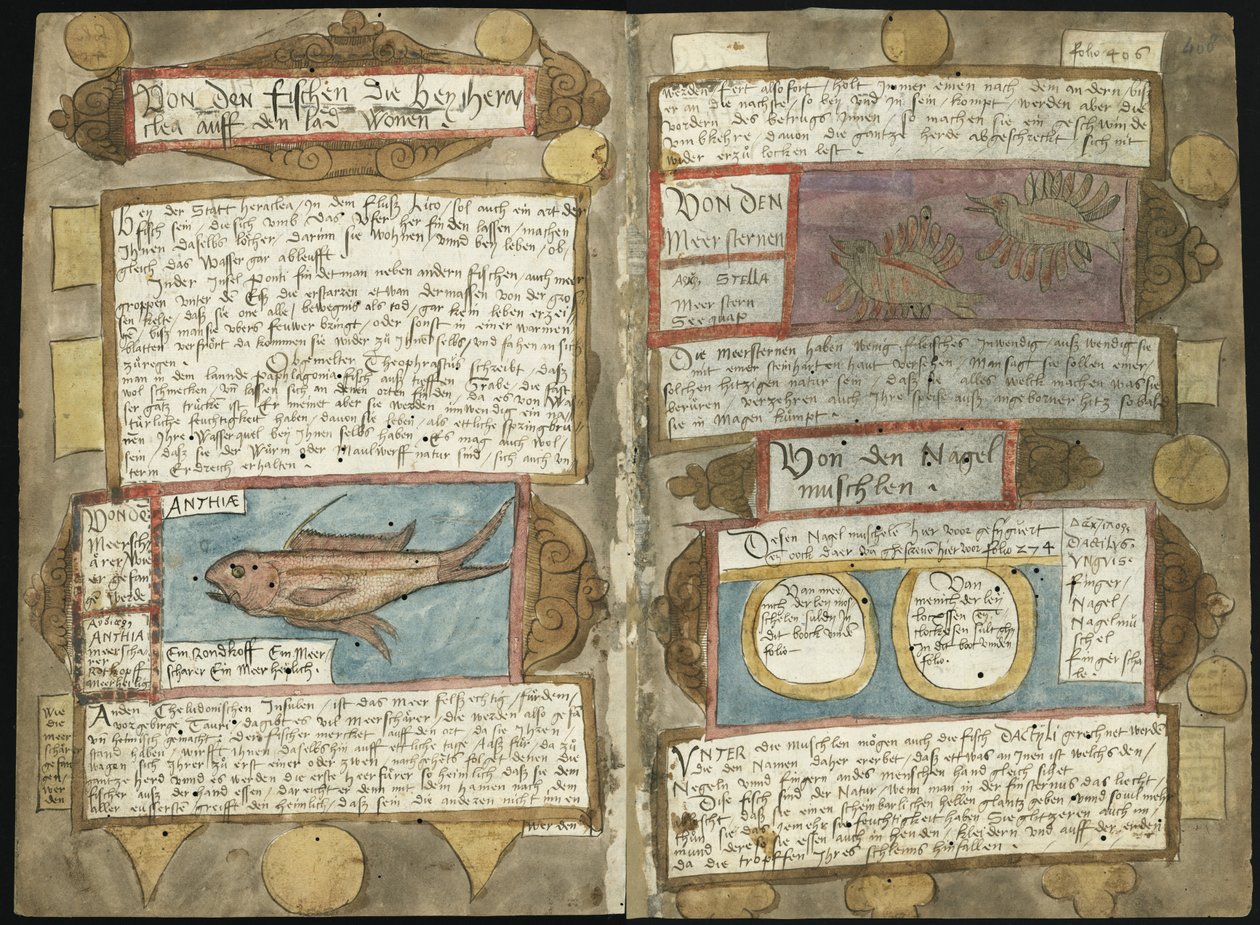Visboeck de Adriaen Coenen - KB 78 E 54 - folios 407v (izquierda) y 408r (derecha) de Adriaen Coenen