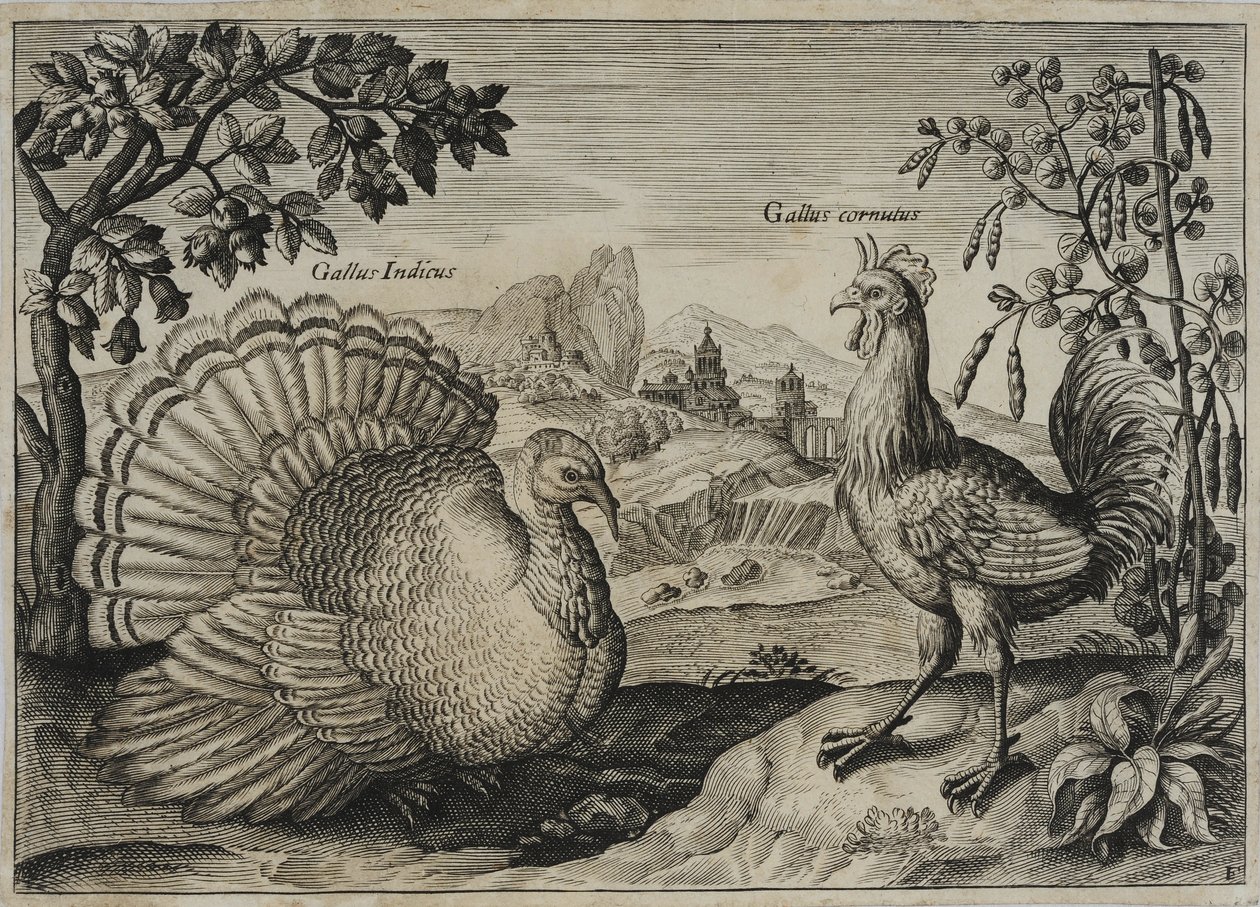 Grabado de un Maestro Antiguo de Adriaen Collaert