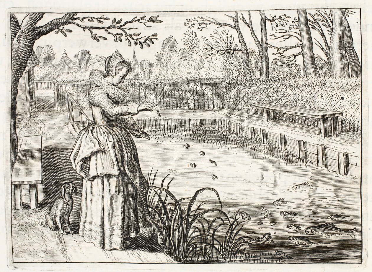 Alimentando a los peces, ilustración de 