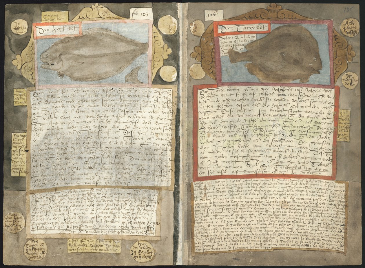 Visboeck de Adriaen Coenen de Adriaen Coenen