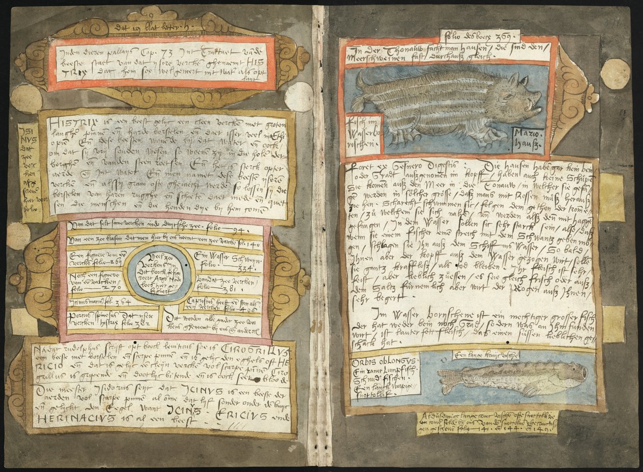 Visboeck de Adriaen Coenen - KB 78 E 54 - folios 370v (izquierda) y 371r (derecha) de Adriaen Coenen