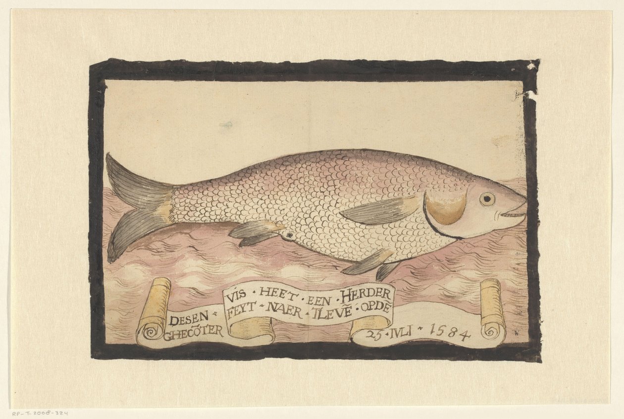 Salmonete de roca de Adriaen Coenen