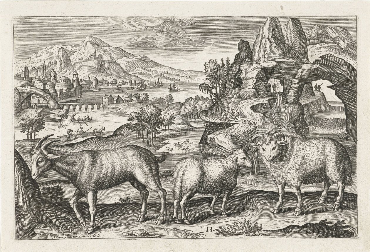cabra y oveja Animales de cuatro patas (título de la serie) Animalivm Qvaddrvpedvm (título de la serie) de Adriaen Collaert