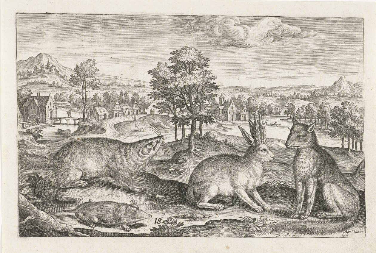 animales del bosque Animales de cuatro patas (título de la serie) Animalivm Qvaddrvpedvm (título de la serie) de Adriaen Collaert