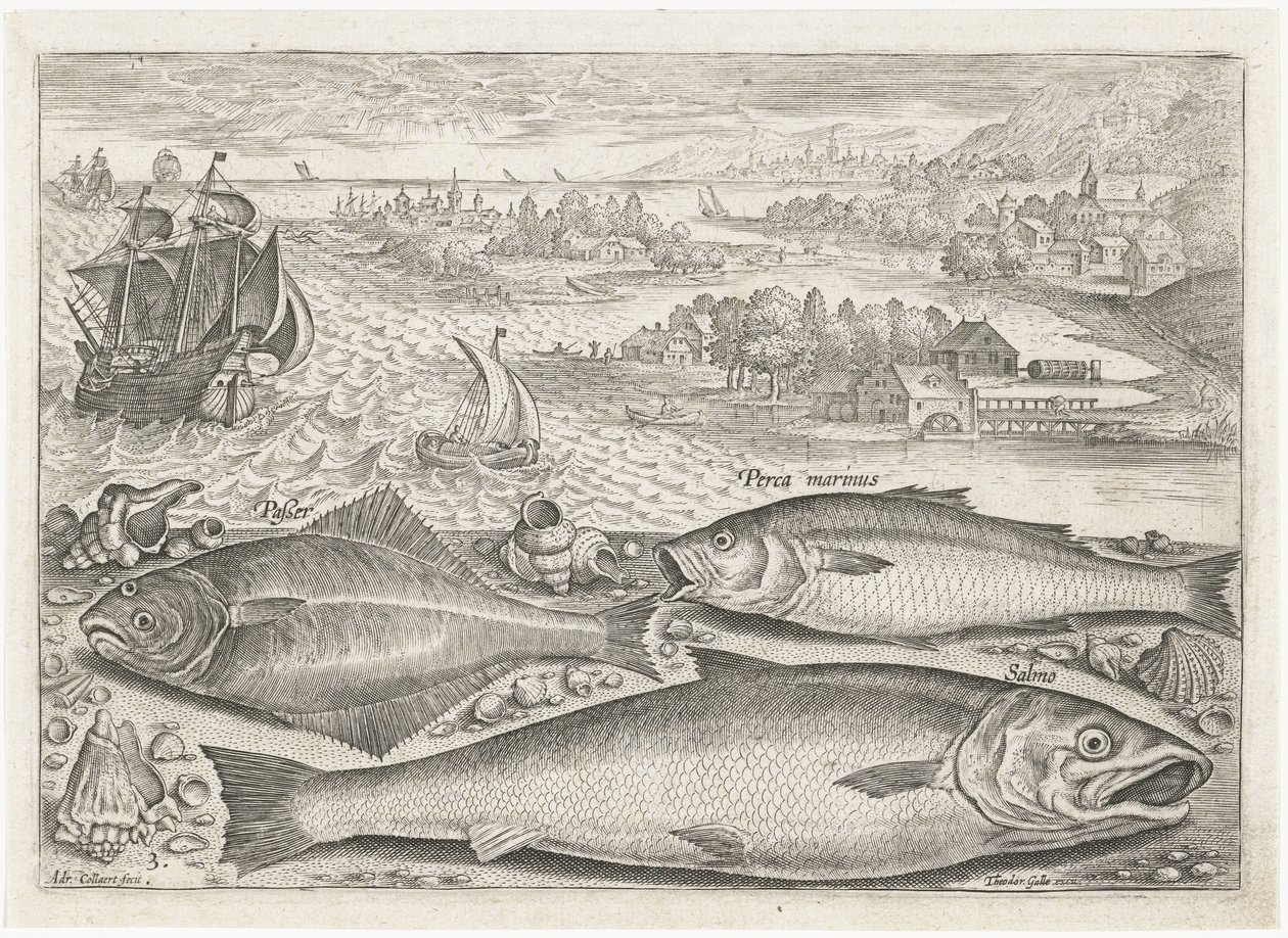 Tres peces en la playa Pesca (título de la serie) Iconos de Piscium vivae (título de la serie) de Adriaen Collaert