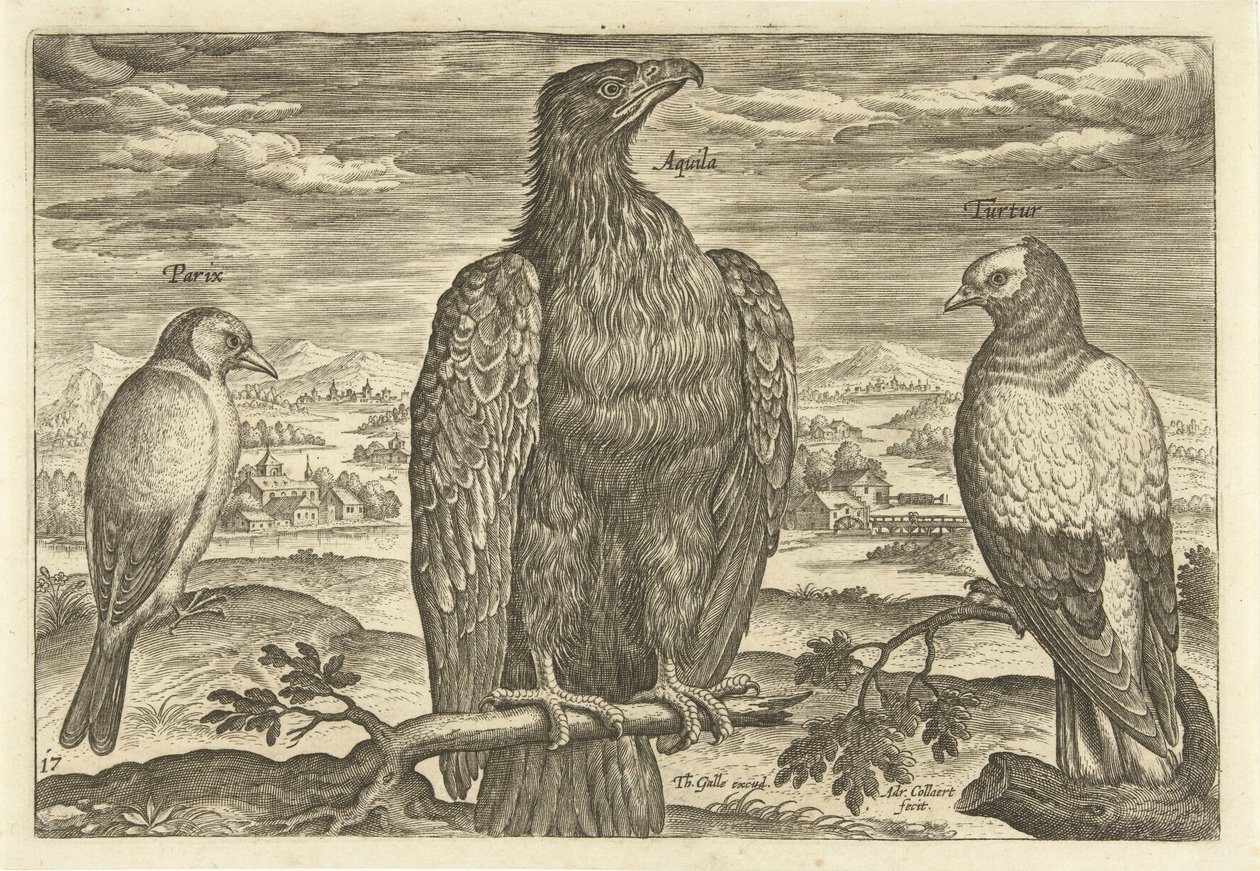 Tres pájaros en un paisaje Avium Vivae (título de la serie) Pájaros (título de la serie) de Adriaen Collaert