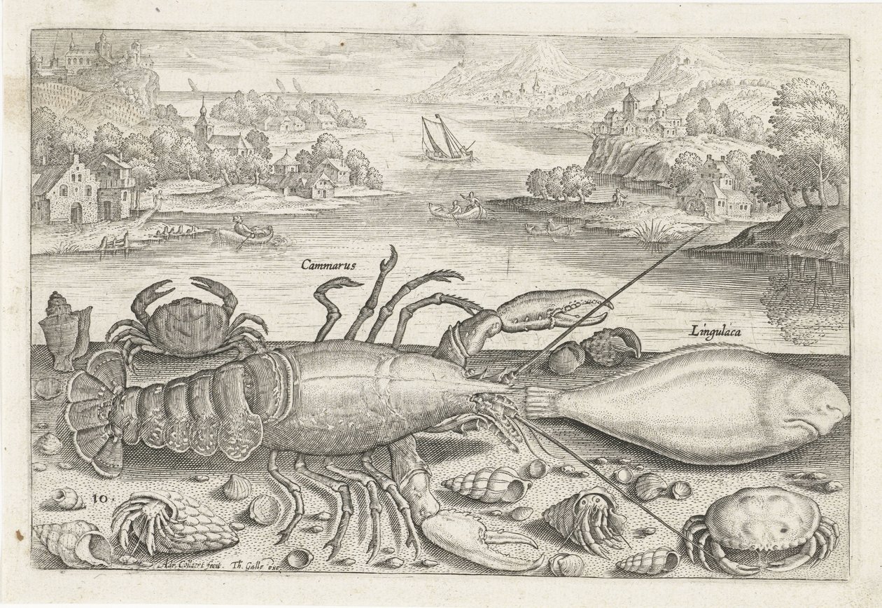 Un pez y unos crustáceos en la playa. Pesca (título de la serie) Iconos de Piscivm vivae (título de la serie) de Adriaen Collaert