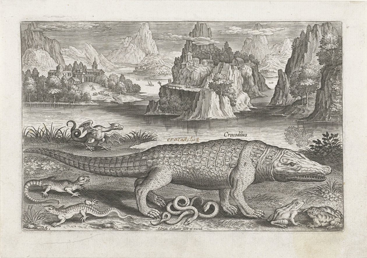 Algunos reptiles y anfibios en una orilla Pesca (título de la serie) Iconos de Piscivm vivae (título de la serie) de Adriaen Collaert