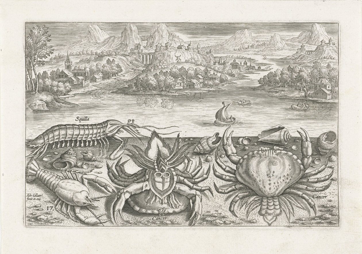 Algunos crustáceos en la playa Pesca (título de la serie) Iconos de Piscium vivae (título de la serie) de Adriaen Collaert