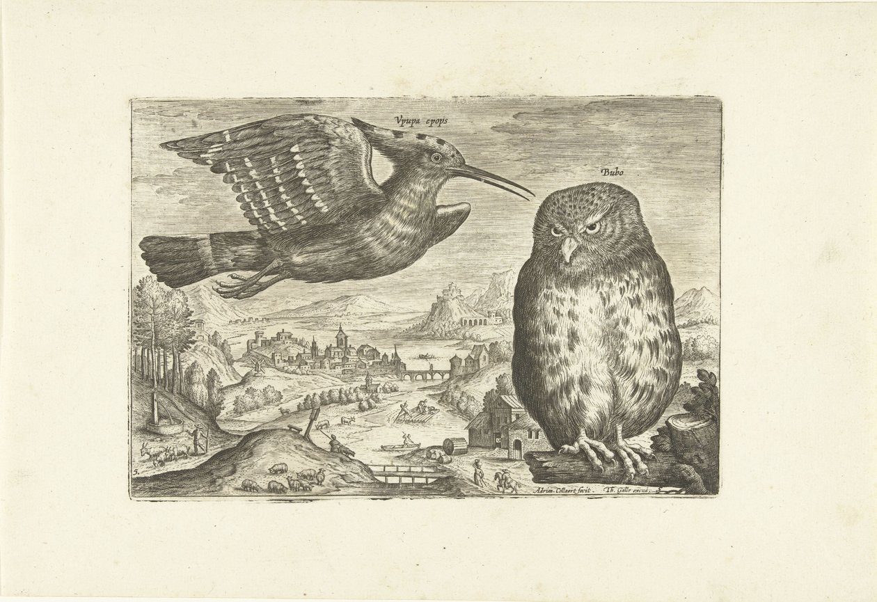 Algunas aves en un paisaje Pájaros (título de la serie) Avivm vivae (título de la serie) de Adriaen Collaert