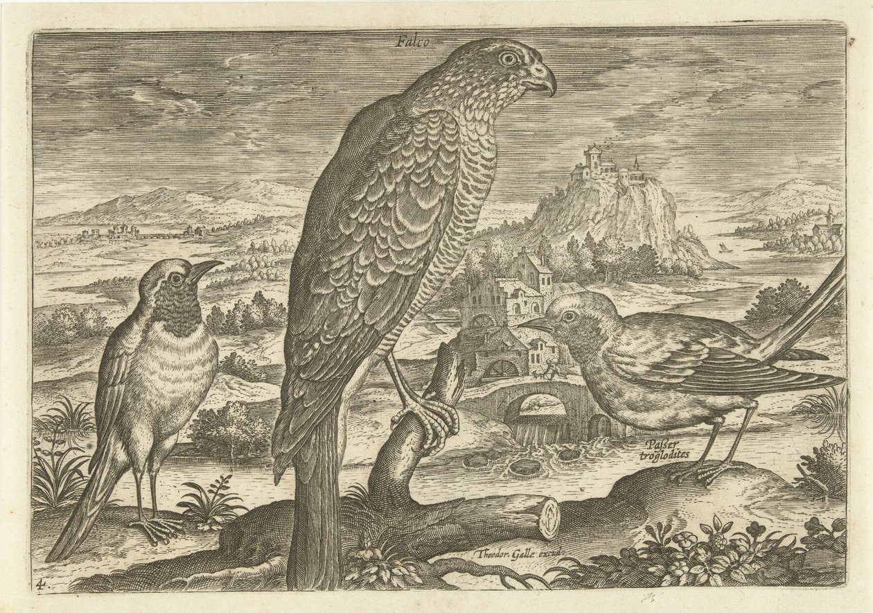 Algunas aves en un paisaje Pájaros (título de la serie) Avivm vivae (título de la serie) de Adriaen Collaert