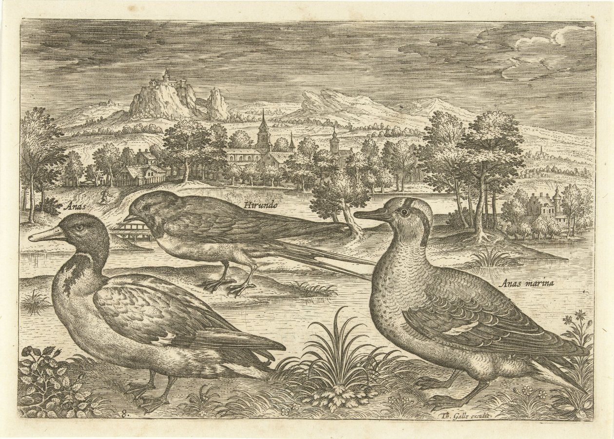 Algunas aves en un paisaje Pájaros (título de la serie) Avivm vivae (título de la serie) de Adriaen Collaert