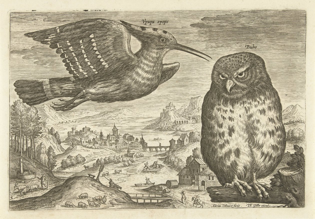 Algunas aves en un paisaje Pájaros (título de la serie) Avivm vivae (título de la serie) de Adriaen Collaert