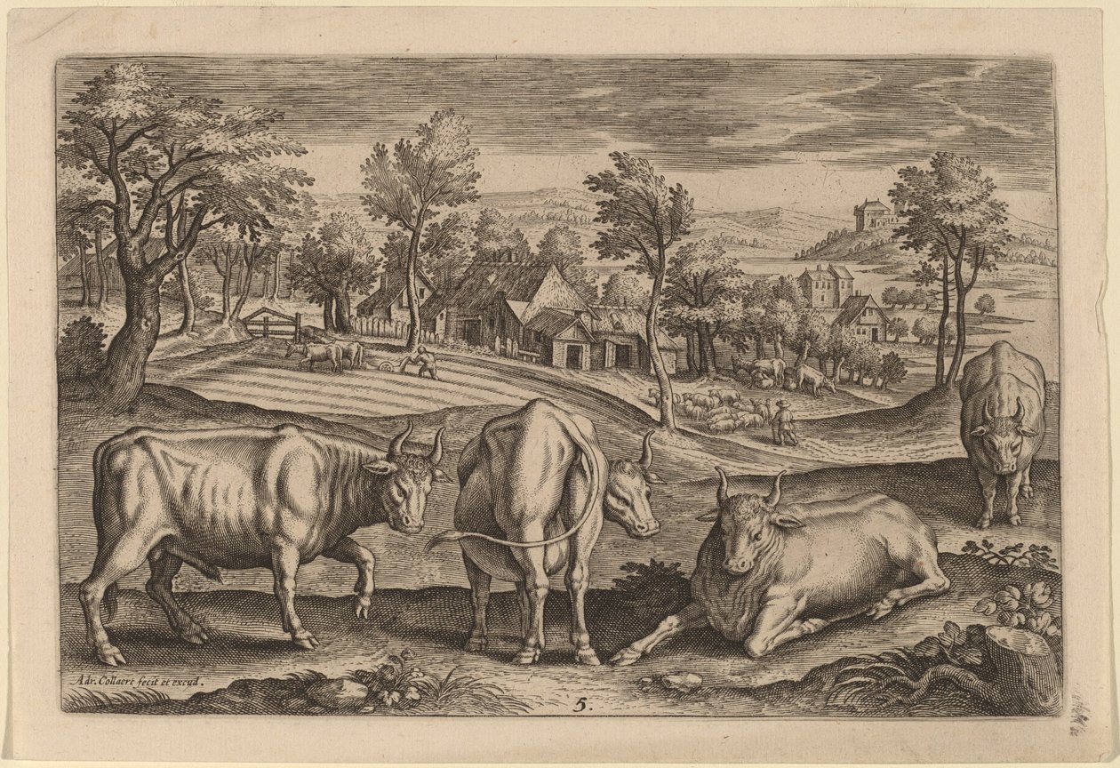 Cuatro toros de Adriaen Collaert