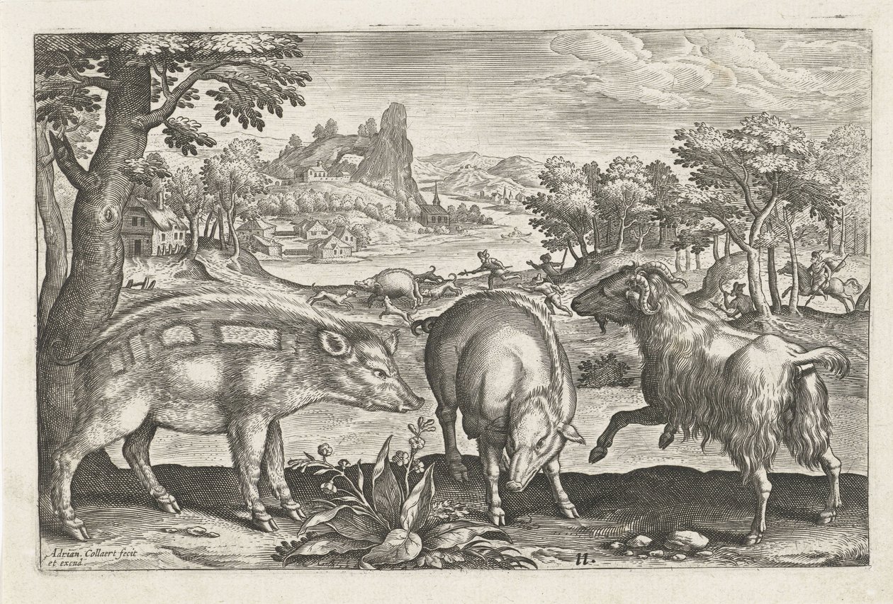 Cabra y jabalí Animales de cuatro patas (título de la serie) Animalivm Qvaddrvpedvm (título de la serie) de Adriaen Collaert