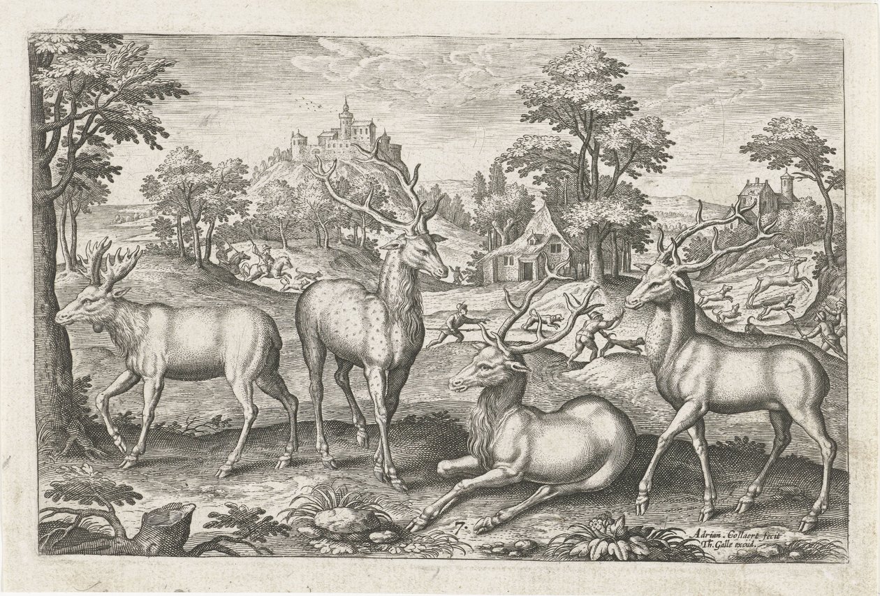 ciervo Animales de cuatro patas (título de la serie) Animalivm Qvaddrvpedvm (título de la serie) de Adriaen Collaert