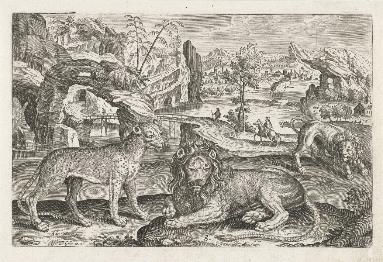 leones y leopardo Animales de cuatro patas (título de la serie) Animalivm Qvaddrvpedvm (título de la serie) de Adriaen Collaert