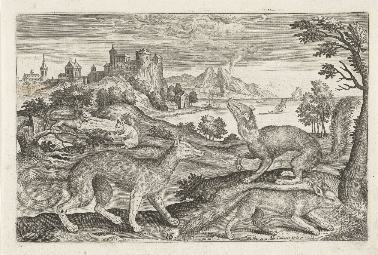 Martas, ardillas y un zorro Animales de cuatro patas (título de la serie) Animalivm Qvaddrvpedvm (título de la serie) de Adriaen Collaert