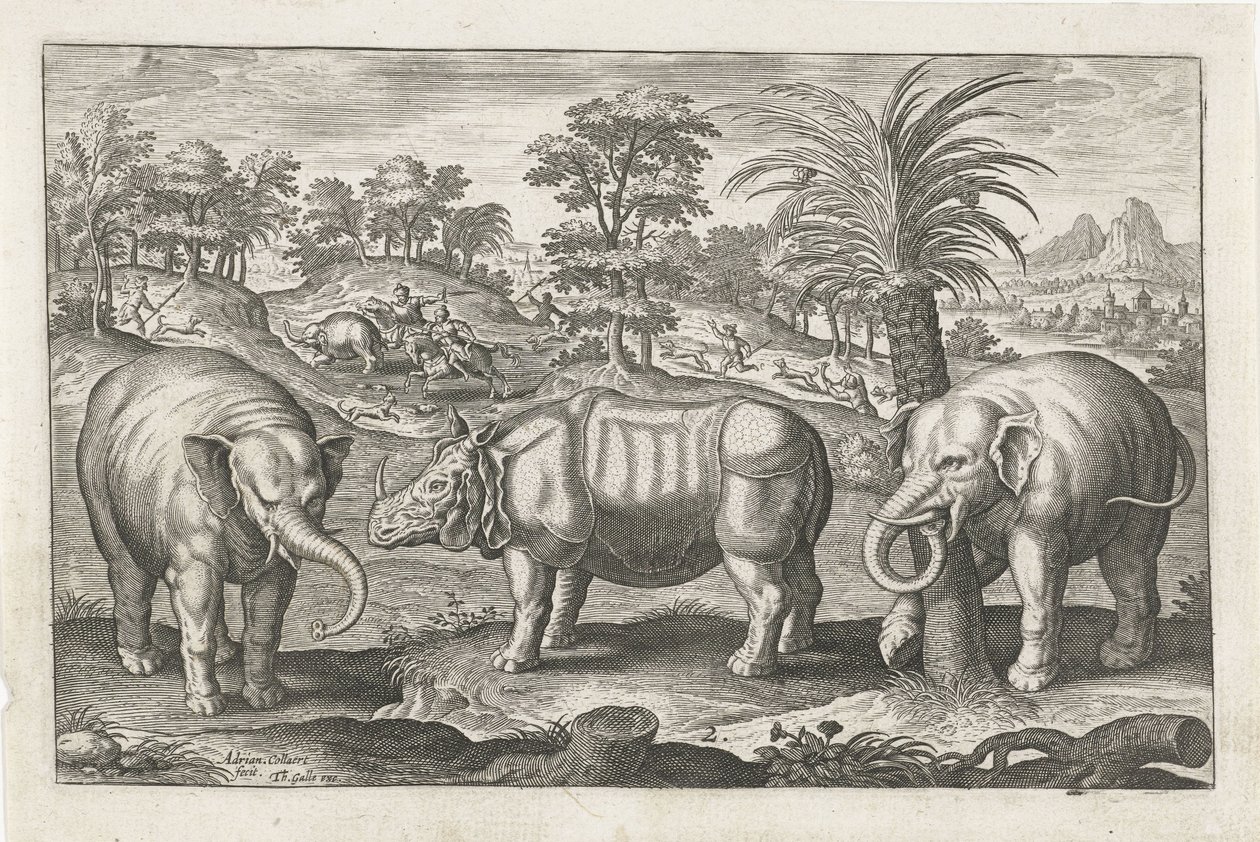 elefantes y rinocerontes Animales de cuatro patas (título de la serie) Animalivm Qvaddrvpedvm (título de la serie) de Adriaen Collaert
