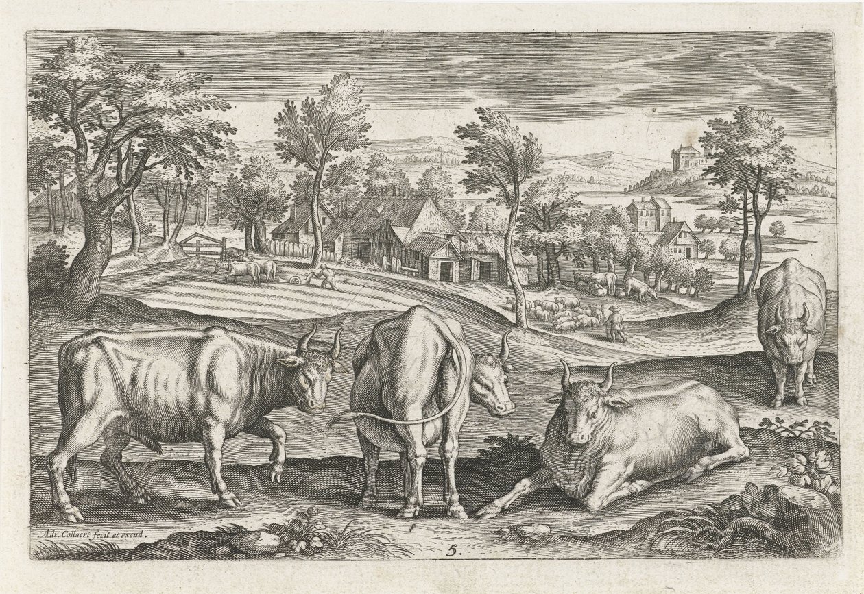 ganado Animales de cuatro patas (título de la serie) Animalivm Qvaddrvpedvm (título de la serie) de Adriaen Collaert