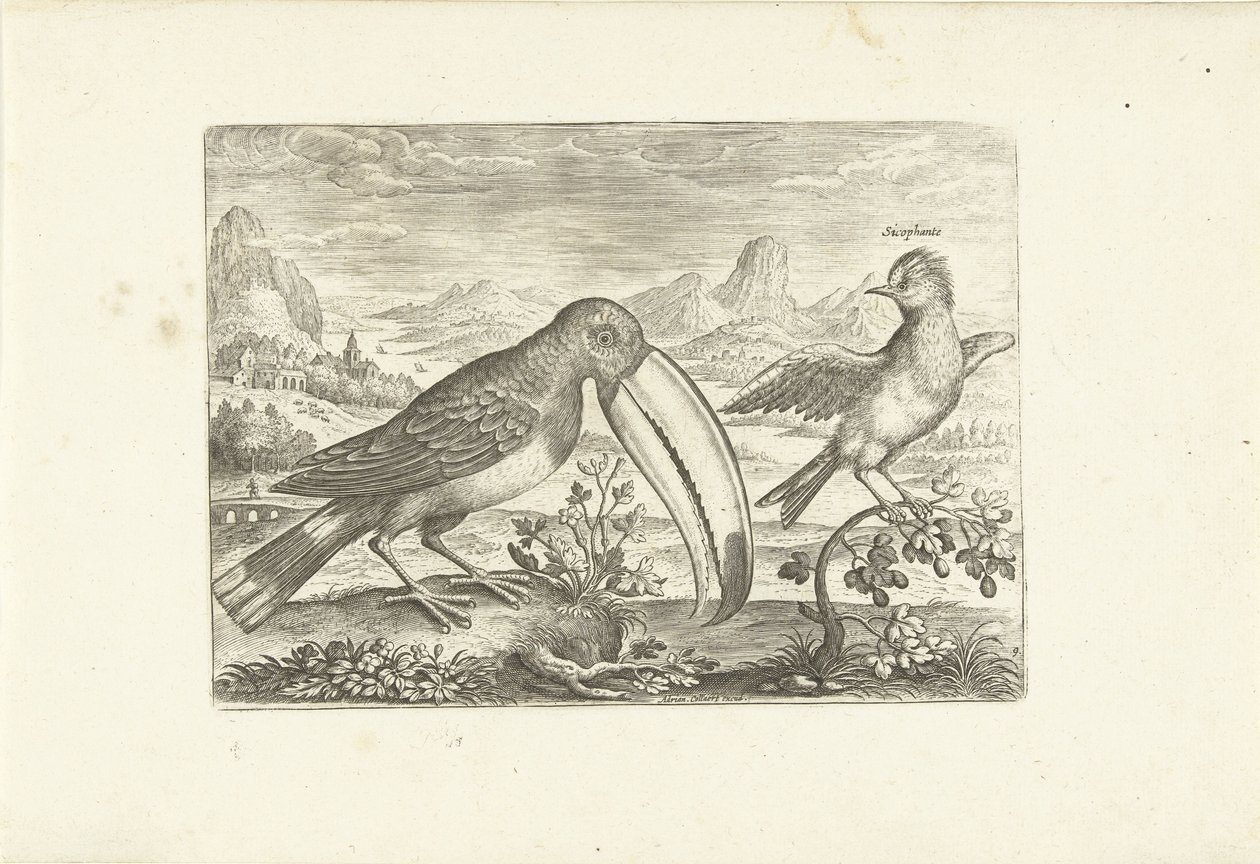 Dos pájaros exóticos en un paisaje Pájaros (título de la serie) Avium vivae (título de la serie) de Adriaen Collaert