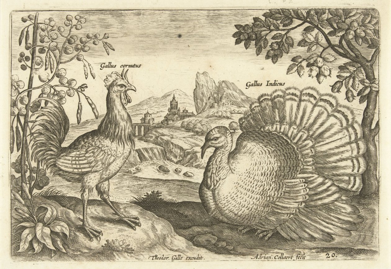 Dos gallinas en un paisaje. Avium Vivae (título de la serie) Pájaros (título de la serie) de Adriaen Collaert