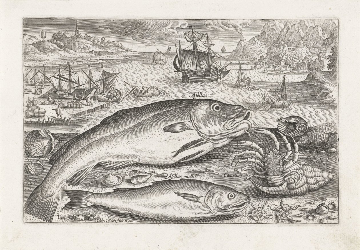 Dos peces en la playa Pesca (título de la serie) Iconos de Piscium vivae (título de la serie) de Adriaen Collaert