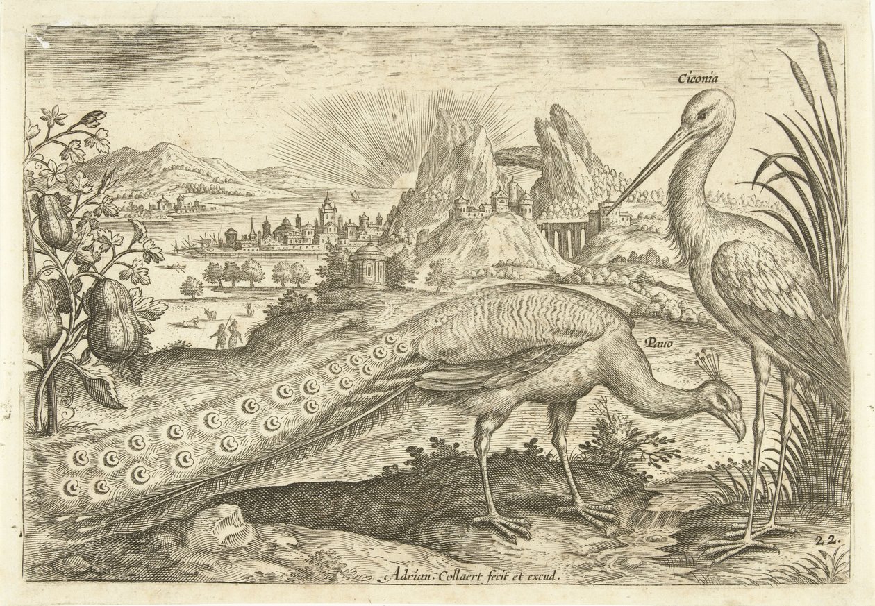 Dos pájaros en un paisaje Avium Vivae (título de la serie) Pájaros (título de la serie) de Adriaen Collaert