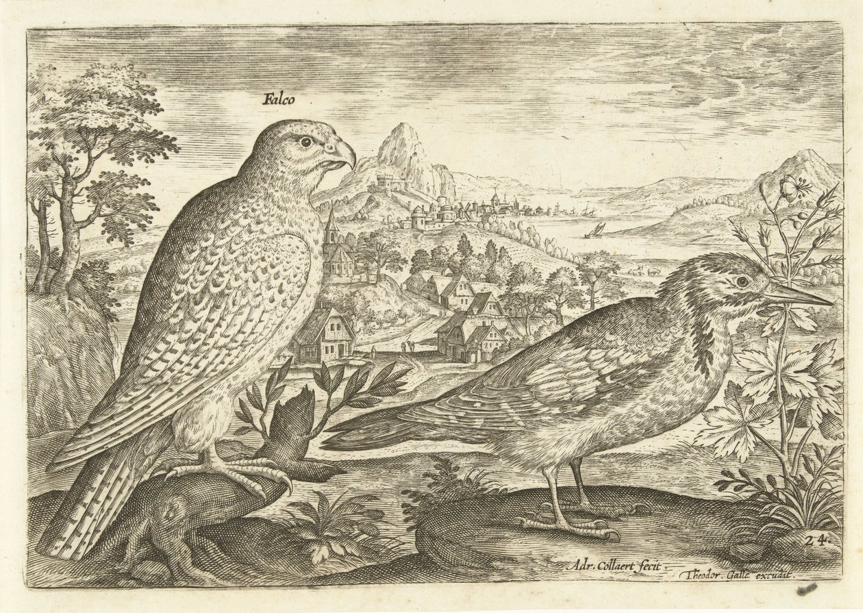 Dos pájaros en un paisaje Avium Vivae (título de la serie) Pájaros (título de la serie) de Adriaen Collaert