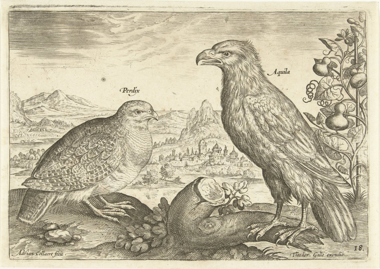 Dos pájaros en un paisaje Avium Vivae (título de la serie) Pájaros (título de la serie) de Adriaen Collaert