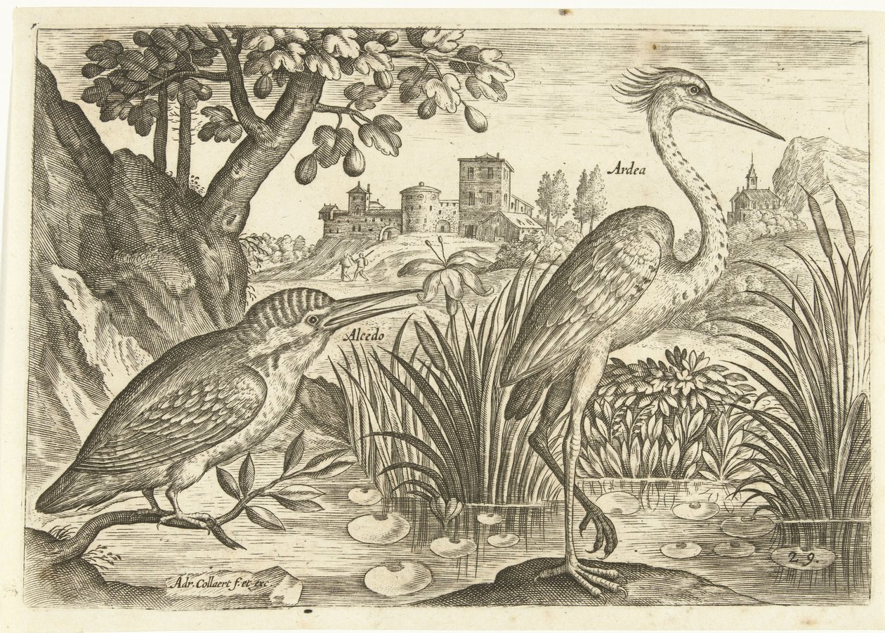 Dos pájaros en un paisaje Pájaros (título de la serie) Avium Vivae (título de la serie) de Adriaen Collaert