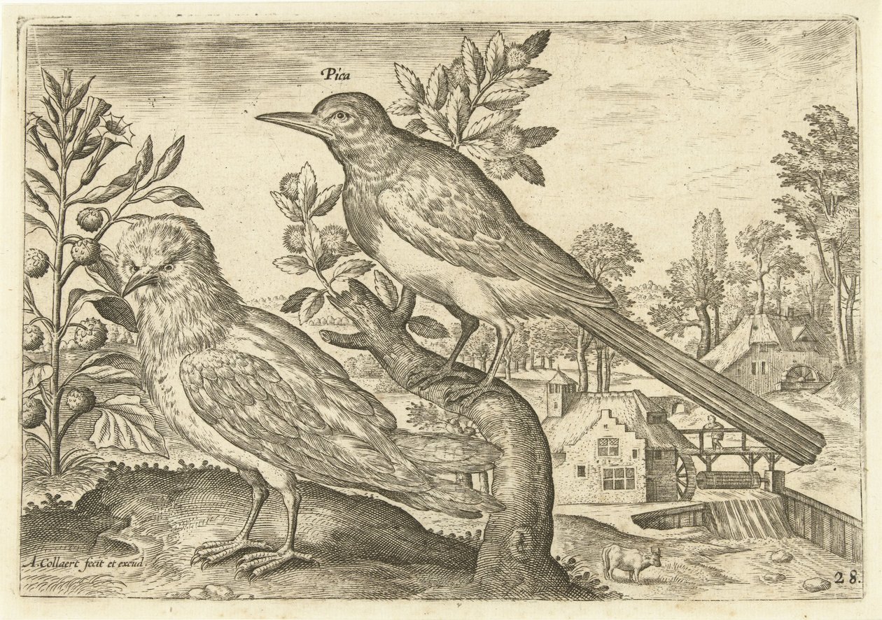 Dos pájaros en un paisaje Pájaros (título de la serie) Avium Vivae (título de la serie) de Adriaen Collaert